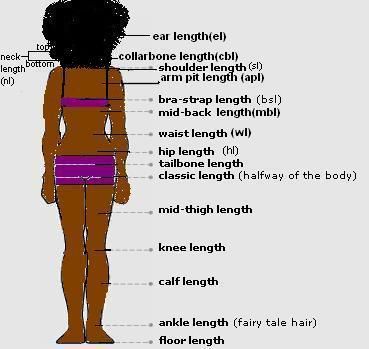 Natural Hair Growth Chart, Hair Growth Regimen, Hair Growth Charts, Length Retention, Natural Hair Rules, Hairstylist Quotes, Hair Length Chart, Hair 101, Length Check