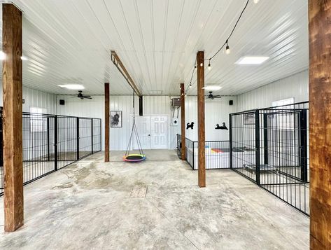 Indoor Dog House Ideas, Mile High Liz Tomforde, Dog House Ideas, Dog Breeding Kennels, Dog Boarding Ideas, Boarding Kennels, Dog Boarding Facility, Dog Boarding Kennels, Dog Room Decor