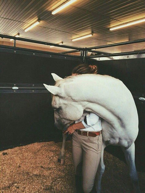 White Horse Riding, Equestrian Aesthetic, Horse Aesthetic, Horse Crazy, Horse Equestrian, Equestrian Life, Cute Horses, Equine Photography, Horse Life