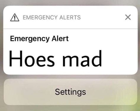 emergency alert !!!! hoes mad 🤪🥵 Mad Meme, Emergency Alert, Snapchat Funny, Good Quotes For Instagram, Relatable Post Funny, Mood Humor, Funny Profile Pictures, Funny Reaction Pictures, Funny Relatable Quotes