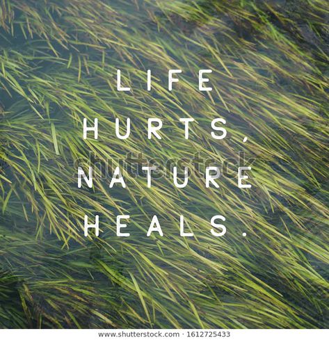 Nature Heals Quotes, Nature Therapy Quotes, Natural Healing Quotes, Negative Energy Quotes, Bad Karma Quotes, Healing Quotes Health, Nature Is Healing, Nature Lover Quotes, Nature Quotes Beautiful