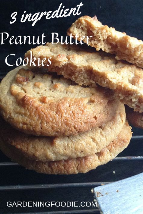 Gardening Cookies, Eggless Peanut Butter Cookies, Crunchy Peanut Butter Cookies, 3 Ingredient Peanut Butter Cookies, Quick Cookies, 3 Ingredient Cookies, 3 Ingredient Desserts, Christmas Shortbread, Peanut Butter Oatmeal Cookies