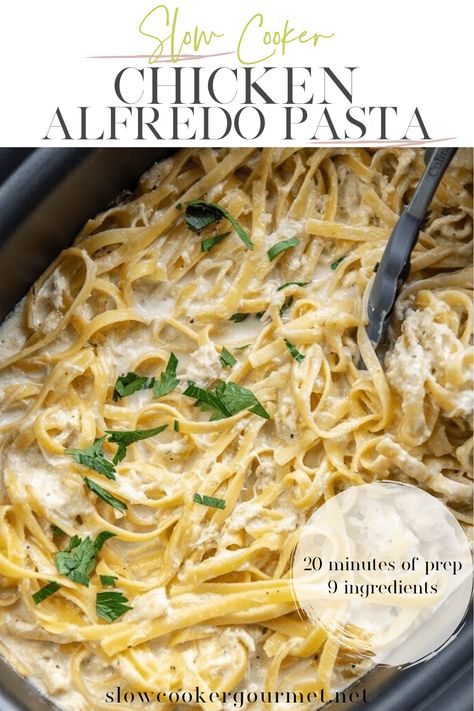 Slowcooker Pasta, Slow Cooker Chicken Alfredo, Crockpot Chicken Alfredo, Alfredo Chicken, Slow Cooker Pasta Recipes, Chicken Cooker, Pasta Recipes Alfredo, Pasta Alfredo, Chicken Alfredo Recipes