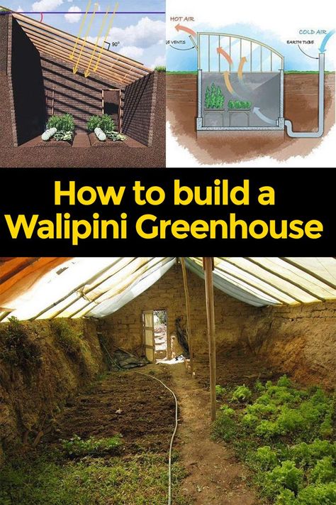 Growing plants year-round, especially in cooler or fluctuating climates, can be a challenge. However, an underground greenhouse, also known as a ‘walipini’ or ‘pit greenhouse’, offers a sustainable solution. Leveraging the Earth’s natural insulation, these greenhouses maintain more consistent temperatures, protecting plants from harsh weather conditions and extending the growing season. Walipini Greenhouse, Underground Greenhouse, Greenhouse Farming, Heating A Greenhouse, Diy Greenhouse Plans, Greenhouse Shed, Build A Greenhouse, Grow Food, Backyard Greenhouse