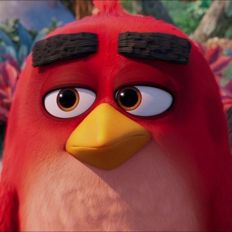 Angry Birds Movie Red, Green Folder, Angry Birds Characters, Red Angry Bird, Angry Birds Movie, Bird Gif, Red Icons:), Angry Bird, Hill Climb