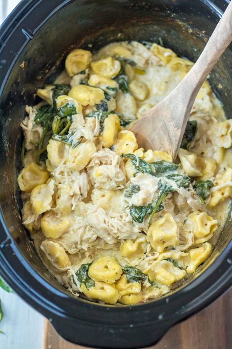 Slow Cooker Creamy Chicken Spinach Tortellini Dinner Receipts, Creamy Chicken Spinach, Crock Pot Tortellini, Cream Cheese Spinach, Chicken Lickin, Chicken Spinach Pasta, Crockpot Pasta, Slow Cooker Creamy Chicken, Spinach Tortellini