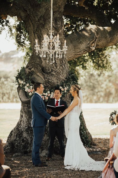 Outdoor Chandelier Wedding, Wedding Under Trees, Romantic Floral Arrangements, Heirloom Photography, Alyssa Scott, Tree Wedding Ceremony, French Country Wedding, Barn Wedding Reception, Wedding Chandelier