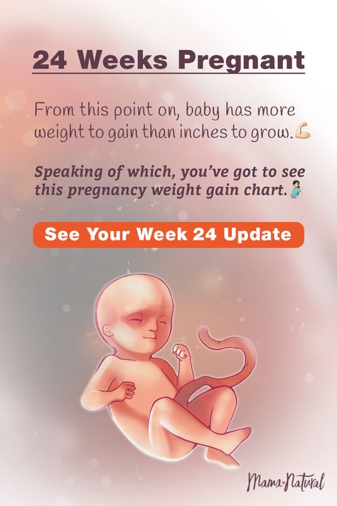 See what's up with baby, mama, and more when you're 24 weeks pregnant. The ultimate week by week natural pregnancy guide! Learn everything from pregnancy symptoms, development, learn to track your baby's growth and natural remedies for a healthy pregnancy. Click to find a complete timeline from the first trimester, second trimester, third trimester with tips for mom and baby to prepare them for a natural birth.   #naturalpregnancy #pregnancytips #naturalbirth 30 Weeks Pregnant Baby, 22 Weeks Pregnant Belly, 31 Week Pregnancy, 29 Week Pregnancy, Pregnancy Weight Gain Chart, Pregnancy Symptoms By Week, Second Trimester Pregnancy, 21 Weeks Pregnant, Pregnant Life