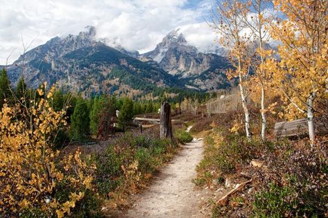 This Easy Hike In Wyoming Will Lead You Someplace Unforgettable Wyoming Travel Road Trips, Star Valley Wyoming, Wyoming Hiking, Wyoming Nature, Wyoming Vacation, Star Valley, Mountains Camping, Wyoming Travel, Jackson Wy