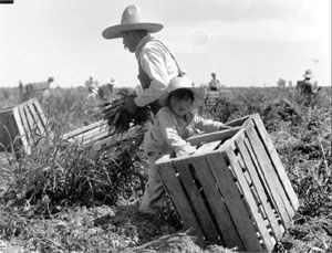 Framed Poster Art, Classic Art Prints, Migrant Worker, Mexican American, Photo Archive, Children Photography, Classic Art, Poster Frame, Vintage Photos