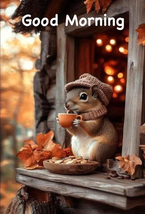 Morning Hugs, Squirrel Pictures, Good Morning Happy Saturday, Good Morning Funny Pictures, Cute Good Morning Images, Good Morning Sunshine Quotes, Happy Morning Quotes, Good Morning Flowers Quotes, Funny Good Morning Quotes