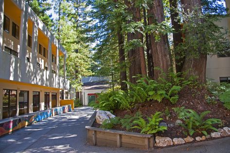 University Of California Santa Cruz, Luxury Dorm, Romanticizing College, Luxury Dorm Room, Uc Santa Cruz, 23 Vision Board, Campus Aesthetic, Banana Slug, Vampire House