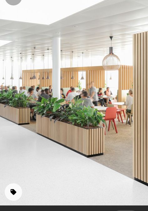 Office Cafeteria Design, Office With Plants, Plant Office Design, Office Cafeteria, Cafeteria Design, Interior Design Plants, Office Photos, Industrial Office Design, Office Design Inspiration