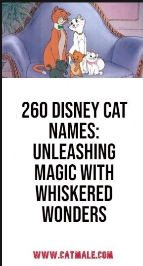 260 Disney Cat Names: Unleashing Magic with Whiskered Wonders Disney Girl Names, Disney Pet Names, Disney Characters Girl, Disney Cat Names, Cat Names Boy, Cat Names Girl, Disney Character Names, Boy Cat Names, Girl Cat Names