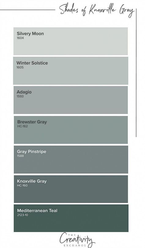 Benjamin Moore Knoxville Gray: Color Spotlight #bathroomcolors Benjamin Moore Knoxville Gray, Knoxville Gray, Interior Door Colors, Color Spotlight, Gray Bedroom Ideas, Benjamin Moore Gray, Paint Trends, Benjamin Moore Colors, Casa Exterior