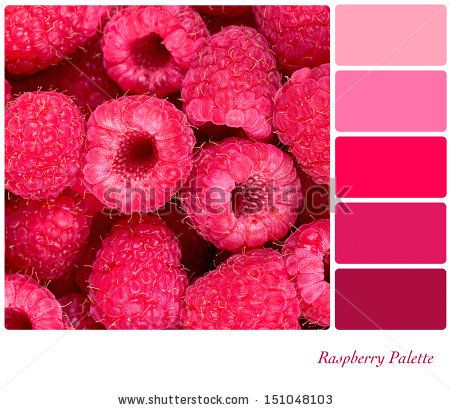 Raspberry Wedding Color, Copper Colour Scheme, 40th Anniversary Ideas, Raspberry Wedding, Berry Dress, Soft Summer Colors, Colour Swatches, Wedding Color Combos, Fresh Raspberries