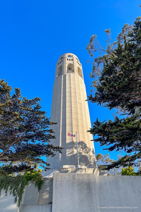 Coit Tower in Telegraph Hill Presidio Heights San Francisco, Coit Tower San Francisco, Chase Center San Francisco, San Francisco Tourist Attractions, Places In San Francisco, Transamerica Pyramid, Pacific Heights, Lombard Street, Palace Of Fine Arts