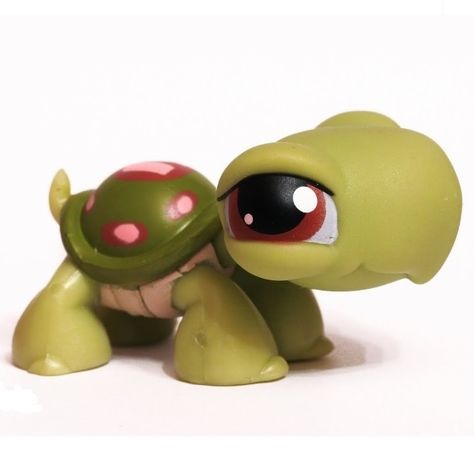 LPS#0007 TURTLE Green, red/pink dots, brown eyes Lps Popular, Lps Toys, Child Hood, Lps Pets, Little Pet Shop Toys, Pet Turtle, Lps Littlest Pet Shop, Ever After High, Childhood Toys