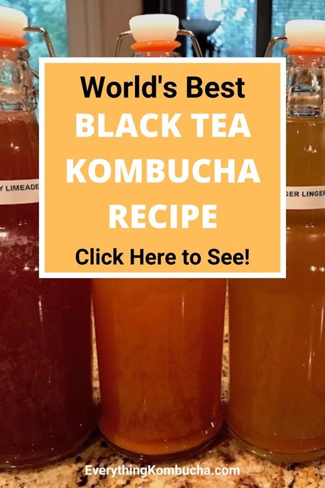 Benefits Of Black Tea, Black Tea Benefits, Making Kombucha, Black Tea Recipe, Kombucha Recipes, Make Your Own Kombucha, Kombucha Drink, Make Kombucha, Smoothie Pops