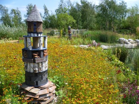 Creature Towers - RBC Rain Garden at the London Wetland Centre London Wetland Centre, Royal Bank Of Canada, Rain Gardens, Royal Bank, Wildlife Gardening, Rain Garden, Surprising Facts, Eco Friendly Living, Living Environment