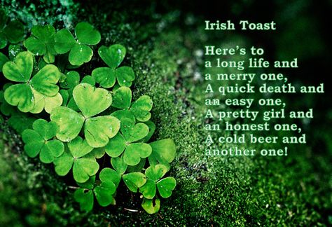 *Irish Toast*     Cheers! Irish Toast, Dark Irish, Irish Toasts, Irish Cheers, Irish Sayings, Beer Snob, Irish Quotes, Irish Roots, Cheer Quotes