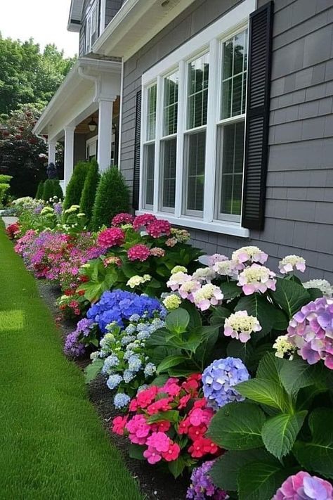 Flower Beds In Front Of House Hydrangea, Flower Bed Designs Layout, Hydrangea Landscaping, Front Flower Beds, Flower Garden Plans, Tattoo Plant, Flower Bed Designs, Front Garden Landscape, Garden Flower Beds