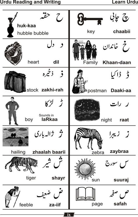 Pakistan Language, Urdu Poems For Kids, Urdu Learning, Learn Urdu, Alphabet Writing Worksheets, Urdu Words With Meaning, 3 Letter Words, Hindi Alphabet, Language Urdu