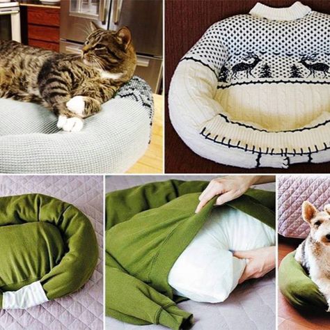 Katt Diy, Diy Cat Bed, Kat Diy, Chat Diy, Diy Pet Bed, Life Jackets, Diy Sweater, Pictures Of Cats, Homemade Cat