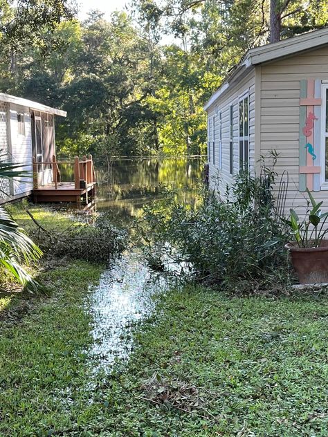 Florida Core Aesthetic, Deep South Aesthetic, Old Florida Aesthetic, Rural Florida, Florida Nostalgia, South Aesthetic, Florida Gothic, Trailer Park Trash, Florida Kilos