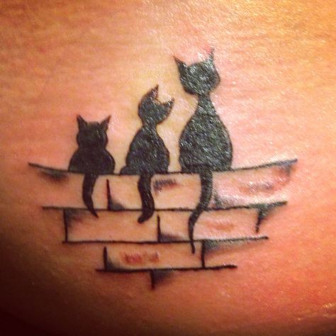 Cattoo three cat tattoo love it! Three Cat Tattoo Design, Three Cat Tattoo, Three Cats Tattoo, Lost Loved Ones Tattoo, Cats Tattoo Ideas, Tiny Cat Tattoo, 3 Black Cats, Trio Tattoos, Egyptian Cat Tattoos