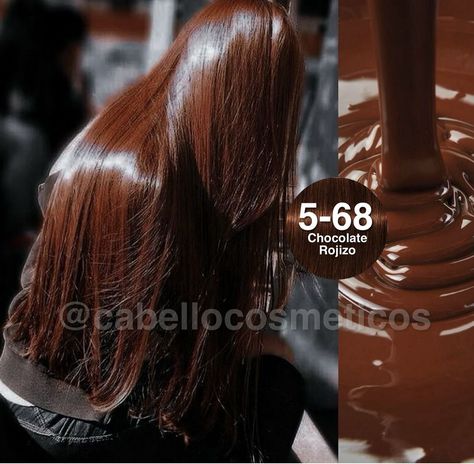 Hair Color Ideas For Brunettes Chocolate, Dark Auburn Hair With Highlights, Pelo Chocolate Caramelo, Pelo Color Chocolate, Igora Hair Color, Pelo Chocolate, Brown Hair Looks, Brown Hair Inspo, Hair Tint