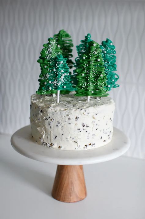 Winter Themed Desserts, Chocolate Christmas Cake, Candy Room, Pine Tree Forest, Pine Trees Forest, Chocolate Chip Cake, Themed Desserts, Forest Cake, Tree Cakes