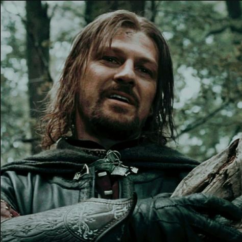 Lord Of The Rings Aesthetic, The Hobbit Characters, Lotr Aesthetic, Lotr Characters, Chaos Aesthetic, Cottagecore Icons, The Fellowship Of The Ring, Sean Bean, Middle Earth Art