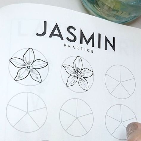 How To Draw Jasmine Step By Step, Jasmine Art Flower, Jasmine Flower Line Art, Jasmin Flower Drawing, Jasmine Drawing Flower, Jasmine Flower Drawing, Jasmine Drawing, 2023 Drawing, Drawing Beautiful