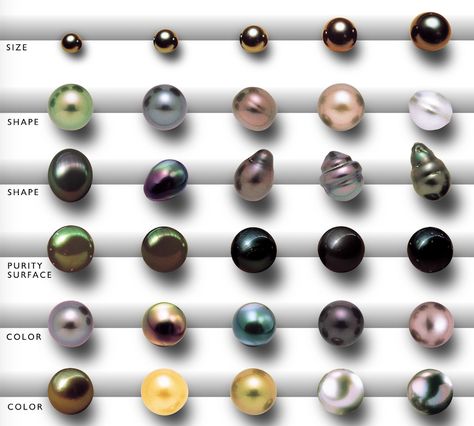 Tahitian Pearls Tahiti Pearl, Tahitian Pearls, Tahiti, Stone, Quick Saves