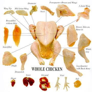 Makanan Diet, Stuffed Whole Chicken, Beef Cuts, Food Info, Cooking Basics, Whole Chicken, Meat Cuts, Food Facts, Cooking Techniques