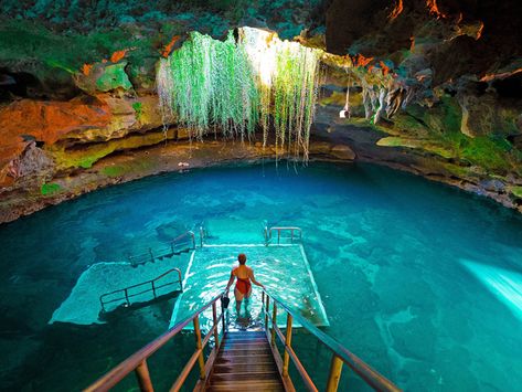 devils den prehistoric spring williston Florida Caverns State Park, Devils Den, Rainbow Springs State Park, Ocala National Forest, Dry Tortugas National Park, Florida State Parks, Places In Florida, Warm Springs, Everglades National Park