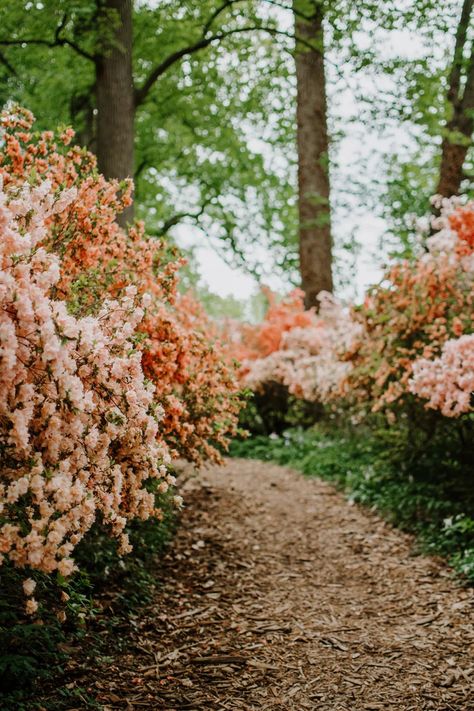 Winterthur Museum, Winterthur, Webpage Design, Gilded Age, Garden Tours, Delicious Meals, Historic Homes, Adventure Awaits, Delaware