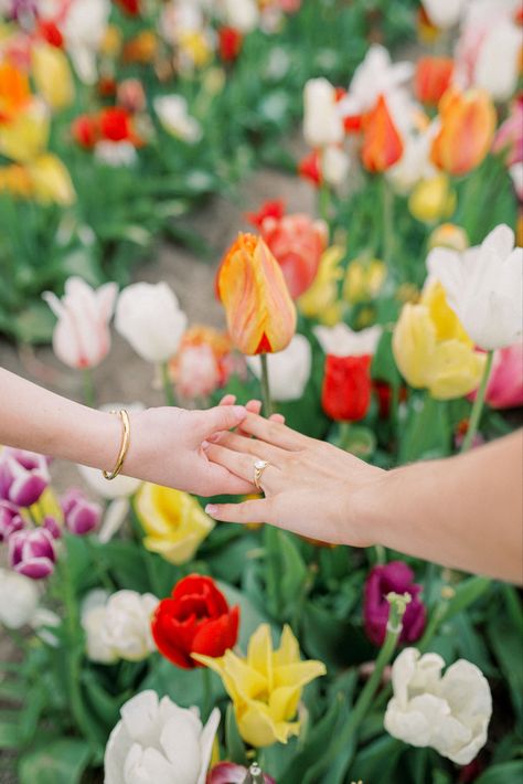 Tulip Engagement Photos, Tulip Field Engagement Photos, Flower Field Couple Photoshoot, Flower Field Couple, Couple Tulip Field, Flower Feild Pics Couple, Lesbian Tulip Field, Field Engagement Photos, Spring Engagement Photos