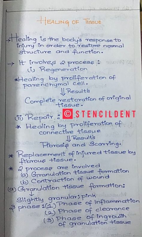 STENCILDENT : Healing of tissue -Repair,process pathology notes Inflammation Pathology Notes, Inflammation Pathology, Pathology Notes, Pathology Study, Biochemistry Notes, Granulation Tissue, Oral Pathology, Basement Membrane, Physical Therapy Student