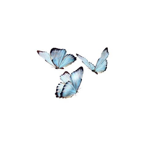 Wallpaper Homescreen Layout, Sky Blue Icons, Blue Png Icons, Aesthetic Wallpaper Homescreen, Ipad White, Cute Aesthetic Wallpaper, Blue Butterfly Tattoo, Blue Png, Blue Butterfly Wallpaper