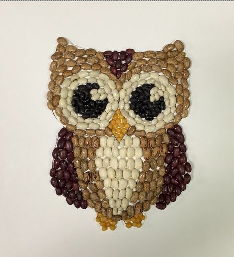 This fabulous Bean Mosaic Owl is a wonderful project for fall or any time. Or use your creativity to design other... Bean Mosaic, Mosaics For Kids, Mosaic Owl, Seed Craft, Seed Art, Owl Crafts, Family Crafts, Art Template, Camping Crafts