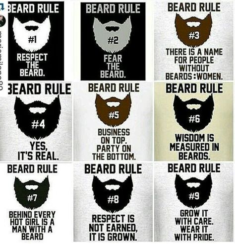 Beard Quotes, Beard Rules, Great Beards, Funny Signs, New Love, Beards, No Response, Signs, Funny