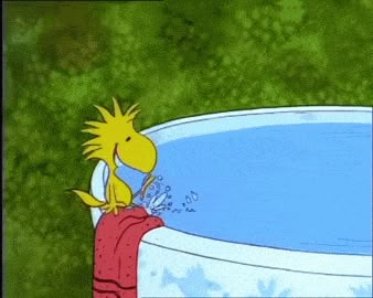 https://media.giphy.com/media/13oIqYiCtqFoe4/giphy.gif Gifs Snoopy, Snoopy Videos, Woodstock Snoopy, Animiertes Gif, Woodstock Peanuts, Snoopy Comics, Snoopy Funny, Snoopy Images, Peanuts Cartoon