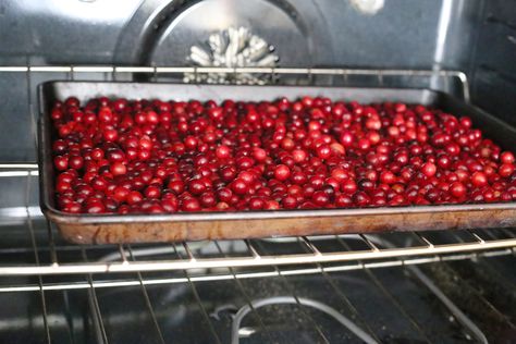 How to Dry Fresh Cranberries | LIVESTRONG.COM How To Dry Fresh Cranberries, How To Dry Cranberries For Decoration, How To Dry Cranberries In Oven, How To Use Fresh Cranberries, How To Dehydrate Cranberries, Fresh Cranberries What To Do With, Preserving Cranberries, How To Dry Cranberries, Desert Hacks