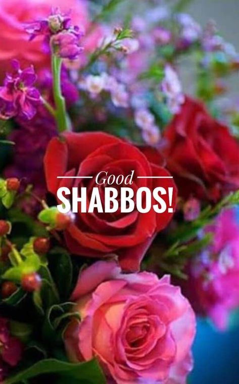 Good Shabbos Funny, Feast Of Trumpets, Good Shabbos, Shabbat Shalom Images, Happy Feast, Happy Sabbath, Shabbat Shalom, Pentecost, Jewish Holidays