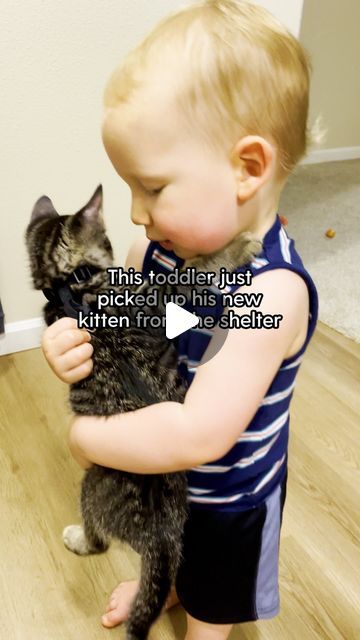 685K views · 76K likes | The Dodo on Instagram: "@annelise_child_ adopted a kitten for her toddler ❤️  Just wait until you see what happens on the drive home 😻" Cats And Babies, Just Wait, Kitten Adoption, Baby Stuff, Adoption, Kittens, Cute Animals, Drive