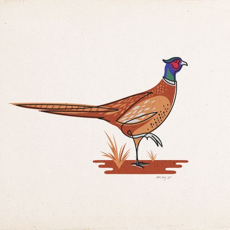 Single-line Pheasant design. Digital illustration in offset printing style. Pheasant Drawing, Pheasant Illustration, Offset Printing, Single Line, Wildlife Conservation, Live Free, Line Illustration, Wild Life, Pheasant