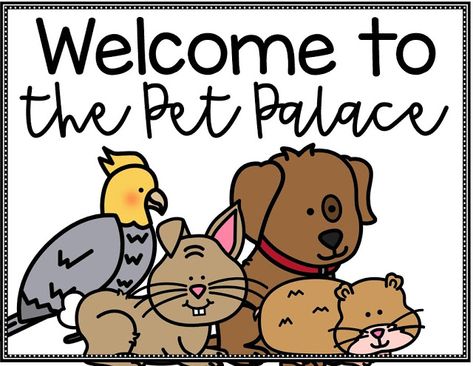 We Adopted Pets!!!! Chef Cake, Useful Products, Classroom Tips, Pet Adoption, My Blog, Fairy Tales, Adoption, Chef, Blogger