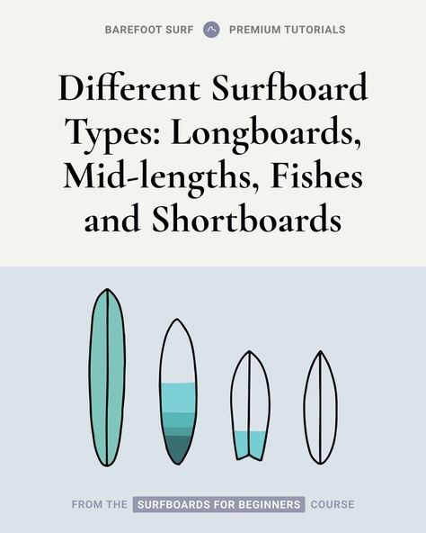 Different Surfboard Types : Longboards, Mid-Lengths, Fishes and Shortboards Surf Camp, Learn To Surf, Longboards, Surfs Up, Male Cards, Surfboard, Mid Length, Surfing, Fish